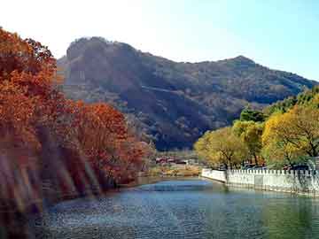 正新澳门二四六天天彩，花生油榨油机多少钱